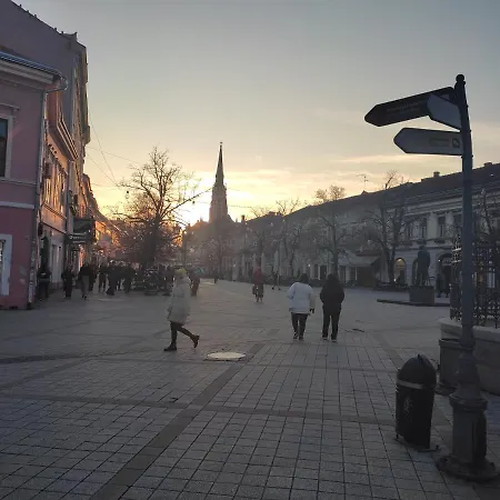 Apartment Woody Novi Sad